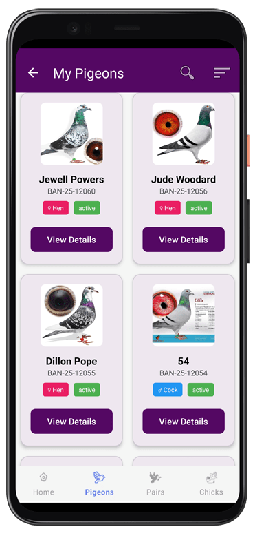 PigeonProfile App Screenshot