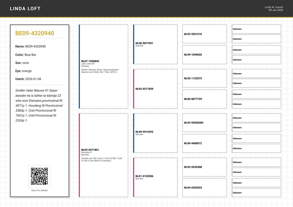 Pigeon Pedigree Example